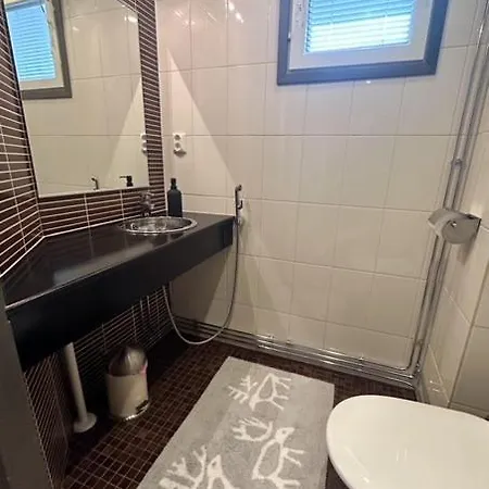 Huoneisto Karhunvartija 10